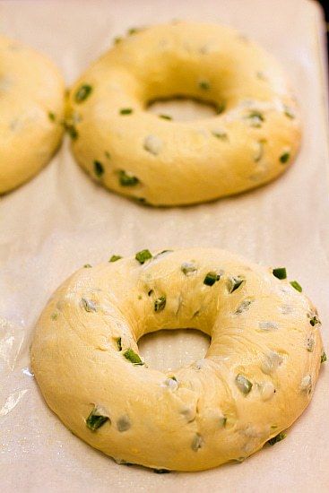 Jalapeno Cheddar Bagel Recipe, Jalapeno Bagel, Cheddar Bagel Recipe, Cheddar Bagels, Bagel Recipes, Bagels Recipe, Brown Eyed Baker, Craving Carbs, Pastas Recipes