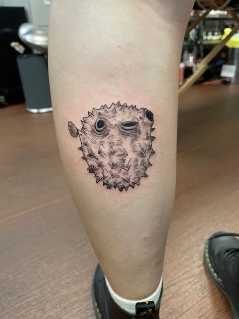 Realistic Pufferfish Tattoo on Back of Calf Blowfish Tattoo, Pufferfish Tattoo, Puffer Fish Tattoo, Sea Life Tattoo, Sea Life Tattoos, Tattoo Fish, Tattoo Sea, Fish Tattoo, Puffer Fish