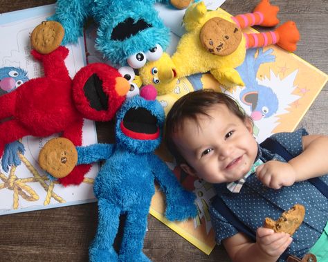 Sesame Street Birthday Photo - Cookies with Friends Elmo Theme Photo Shoot, Sesame Street 1st Birthday Photoshoot, Sesame Street Birthday Photo Shoot, Sesame Street Photo Shoot, Sesame Street Birthday Pictures, Sesame Street First Birthday Photo Shoot, Sesame Street Winter Birthday, Sesame Street Cake Smash, Cookie Monster 1st Birthday Pictures