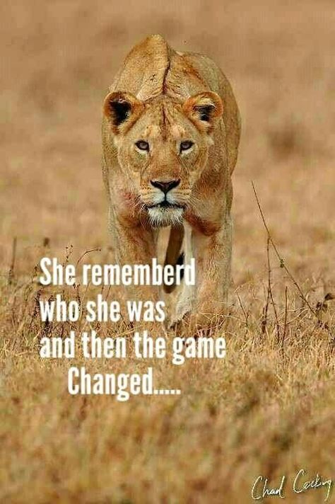 Roar Quotes Woman, I Am A Lioness Quotes, Lioness Quotes Woman Strength Life, Lioness Quotes Woman Strength, Lions Quotes, Lion Woman, Lioness Quotes, Leo Zodiac Quotes, Leo Quotes