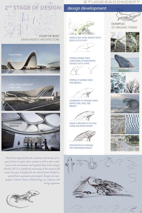 Pavilion Design Sketches, Exhibition Pavilion Design Concept, Pavilion Design Concept Architecture, Pavilion Design Concept, Curved Windows, Biomimicry Architecture, Water Pavilion, Digital Architecture, Aquarium Architecture