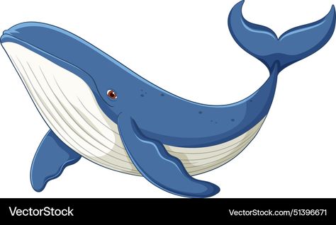 Whale Clip Art, Whale Vector, Whale Clipart, Whale Pictures, Inktober 2024, Blue Whale, Whales, Png Images, Adobe Illustrator