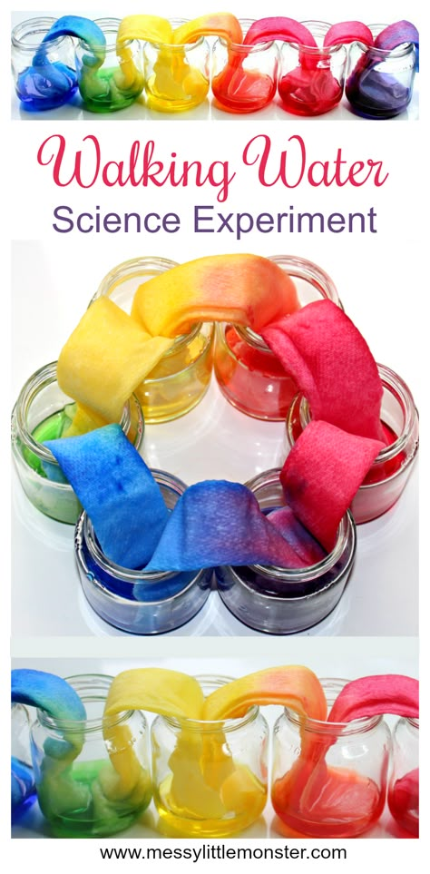 Rainbow walking water science experiment for kids. An easy science project for kids with free printable walking water worksheet. This walking rainbow experiment is perfect for preschoolers learning about colour mixing. Walking Water Science Experiment, Water Worksheet, Science Project For Kids, Vetenskapliga Experiment, Water Science Experiments, Rainbow Experiment, Walking Rainbow, Easy Science Projects, Walking Water