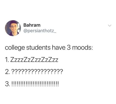 College Shenanigans, College Life Humor, College Student Humor, University Memes, University Quote, Existential Despair, College Funny, Funny College, Studying Memes