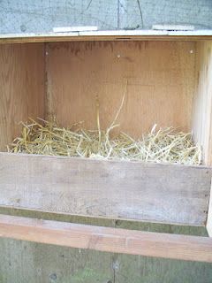 Turkey Nesting Boxes Crate Nesting Boxes, Nesting Boxes Diy, Raising Turkeys, Chicken Nesting Boxes, Keeping Chickens, The Simple Life, Mini Farm, Nesting Box, Down On The Farm