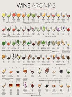 … Art Du Vin, Wine Chart, Wine Facts, Different Types Of Wine, Wine 101, Wine Knowledge, Wine Education, Wine Tasting Party, Wine Guide