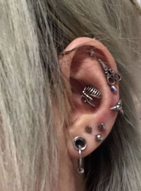 Ear Setup, Small Stretched Ears, Cool Ear Piercings, Pretty Ear Piercings, Cool Piercings, 3d Tattoos, Cute Piercings, Types Of Piercings, Jewelry Tattoo