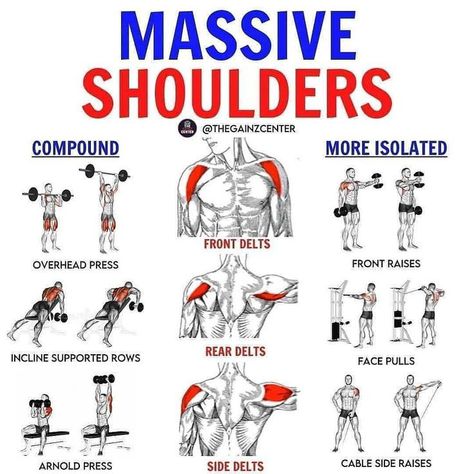 Shoulder Gym, Workouts Routines, Shoulder Workout Routine, Shoulder Exercise, Best Shoulder Workout, Workout Gym Routine, Gym Workout Planner, Bodybuilding Workout Plan, Gym Workout Chart