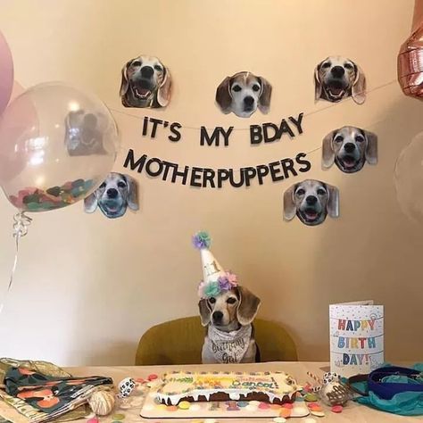 It’s My Birthday Motherpuppers, Birthday For Dogs 1st, 1st Puppy Birthday Ideas, Pet Dog Birthday Party Ideas, Dog's First Birthday, Fiesta Para Perros Ideas, Doggy Birthday Party Ideas, Pet Party Ideas For Dogs, Dog 1st Birthday Ideas