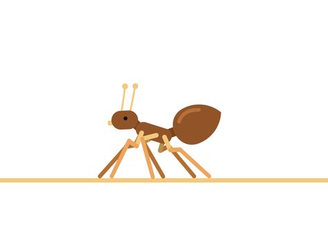 Ant – Anidays 109 Ant Animation, Looping Gif, Ant Cartoon, Moving Gif, Glitch Gif, Loop Gif, Eid Photos, Colorful Room Decor, Alpona Design