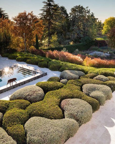 Garden Hedges, Spanish Garden, Landscape Architecture Design, Garden Landscape Design, Plant Design, Architectural Digest, Modern Garden, Japanese Garden, Garden Planning