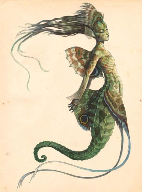 a half human - half seahorse A Mermaid, A Drawing, The Wind, Her Hair, A Woman, Mermaid, Fish, Writing, Hair