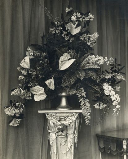 Constance Spry, Photograph Album, Art Google, Floral Arrangement, Flower Arrangement, Flower Shop, A Flower, Painting Inspiration, Culture Art