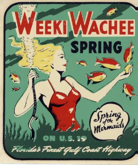 Early Advertising Poster for Weeki Wachee Springs Florida Tourist Attractions, Live Mermaids, Weeki Wachee Mermaids, Weeki Wachee Florida, Swim Camp, Weeki Wachee, Florida Attractions, Florida Travel Guide, Florida Springs