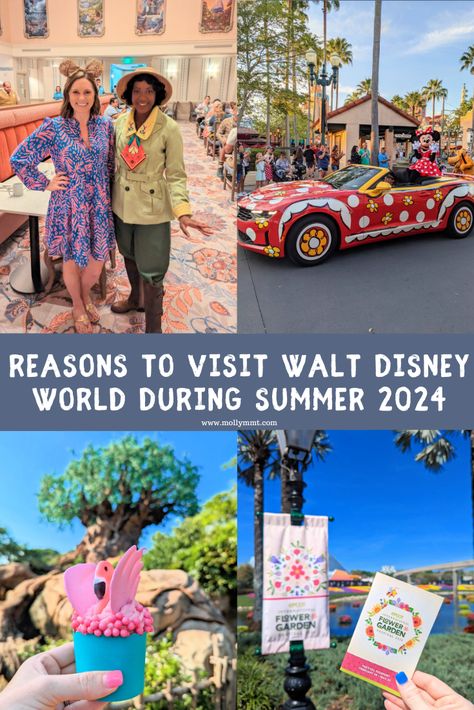 The heat can be rough in Orlando, but don’t let that deter you from taking your vacation to Walt Disney World! There are so many great reasons to visit Walt Disney World during the summer. Take a look at my list of reasons below! There Is Still Time, Disney World Parks, Plan A Trip, Plan A, Disney Parks, Summer 2024, Walt Disney World, The Heat, Disney World