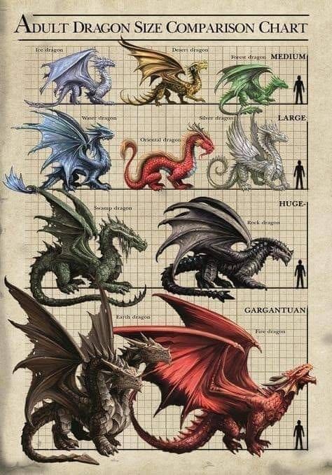 Dragon Size Chart, Dragon Species, Dragon Medieval, Dragon Anatomy, Dungeons And Dragons Decor, Dungeons And Dragons Figures, Types Of Dragons, Dungeon Master Screen, Legendary Dragons