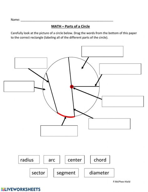 Mass Worksheet, Circle Worksheet, Parts Of A Circle, Area Of A Circle, Math 8, 5th Grade Writing, Math Charts, Scientific Notation, Geometry Worksheets