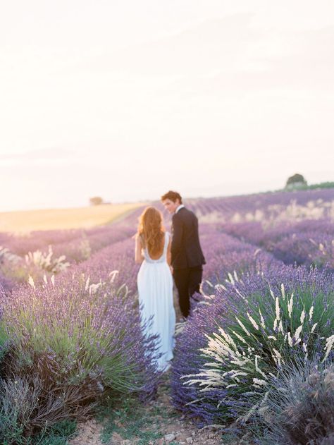 Lavender Field Wedding, Moodboard Photos, French Weddings, Lavender Fields Photography, Provence Lavender, Farm Business, Lavender Bouquet, Lavender Field, Lavender Farm