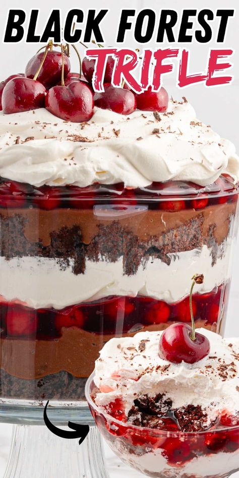 Black Forest Trifle in a trifle container topped with cherries. Cherry Trifle Desserts, Trifle Bowl Desserts, Black Forest Trifle, Chocolate Cherry Pie, Cherry Trifle, Trifle Recipes Easy, German Dessert, Pretty Presentation, Chocolate Pudding Desserts