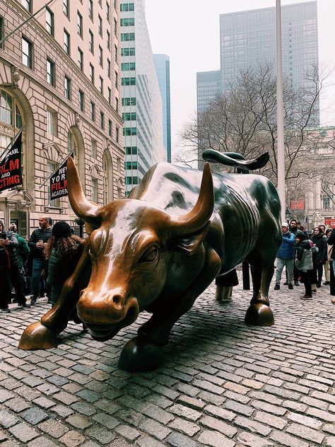 Wallstreet Bull, Trading Aesthetic, Black Jaguar Animal, Wall Street Bull, Money Rules, Bulls Wallpaper, All Black Tattoos, Jaguar Animal, Brand Marketing Strategy