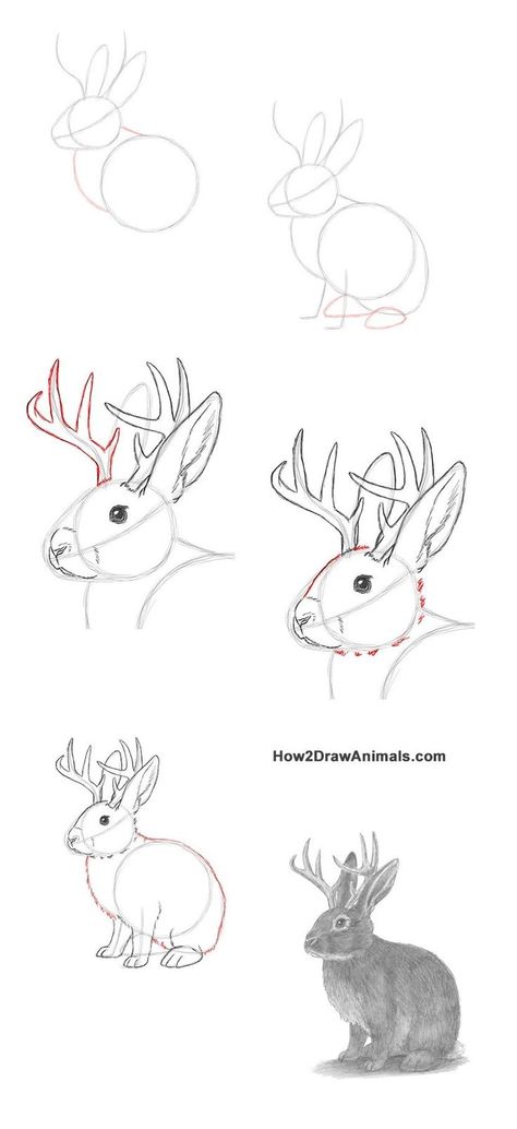 How to draw a jackalope from How2DrawAnimals #mythicalcreatures #jackalope #animaldrawing #graphitedrawing #drawingtechniques Speed Drawing Videos, Deer Drawing, Drawing Tutorials For Beginners, New Drawing, Diy Watercolor Painting, Animal Drawing, Graphite Drawings, Animal Sketches, Art Drawings For Kids