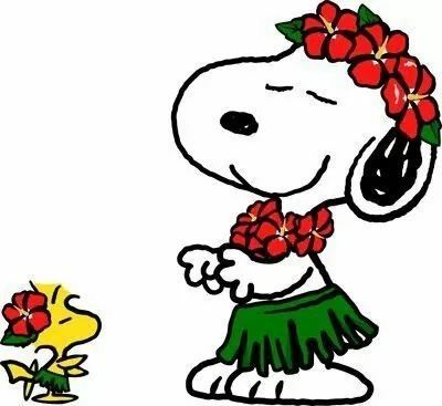 Did you know that Magnesium Deficiency is one of the leading nutrient deficiencies in adults? Causes, Symptoms, Diseases linked to, Foods & Supplements. Snoopy Dancing, Hula Dancing, Snoopy Dance, Snoopy Funny, Hula Dance, Snoopy Images, Peanuts Cartoon, Peanuts Snoopy Woodstock, Peanuts Characters