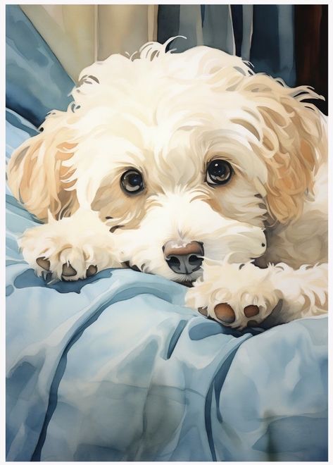 Dog Portraits Illustration, Poodle Drawing, Portraits Painting, Puppy Wall Art, Dog Watercolor Painting, Maltipoo Dog, Dog Portraits Painting, Dog Portraits Art, Watercolor Dog Portrait