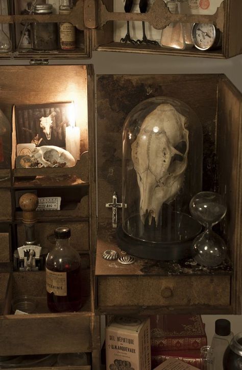 FANCY WALRUS | Occult, Witch aesthetic, Gothic decor Cabinet Of Curiosity, Arte Peculiar, Vulture Culture, Goth Home, Dark Cottagecore, Cabinet Of Curiosities, Witch Aesthetic, Dark Academia Aesthetic, Gothic Decor