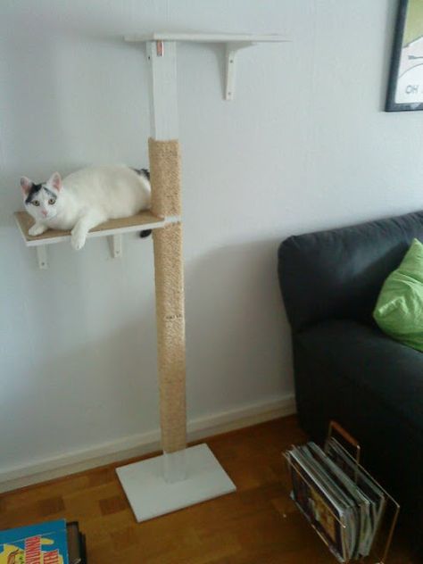 DIY Kitty cat’s Clawpole #ikeahack Diy Cat Climbing Pole, Cat Palace, Cats Climbing, Big House Cats, Cat Stand, Ikea Style, Cat Climber, Hack Ikea, Diy Cat Tree