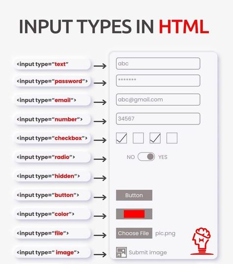 Are you a startup looking for a custom website solution?With over 6+ years of valuable industry experience and a Bachelor's degree in Computer Science, I have the expertise to precisely fit your business needs. Quality is my top priority, I work closely with you to ensure that your website not only meets but exceeds your expectations, helping you achieve your business goals. Input Types In Html, Html Input Type, Html Code Web Design, Cv Website, Learn Html And Css, Learn Hacking, Back To University, Computer Science Programming, Basic Computer Programming