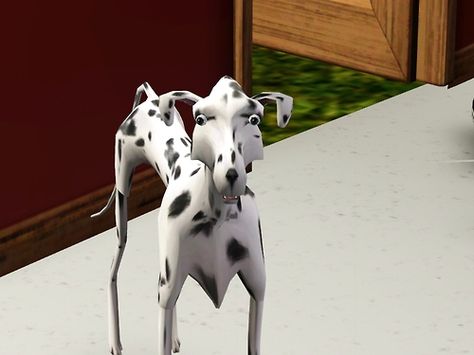 The Sims Glitches, Sims Humor, Sims Glitches, Funny Sims, Sims 2 Pets, Sims Funny, Sims Memes, Dnd Funny, Play Sims