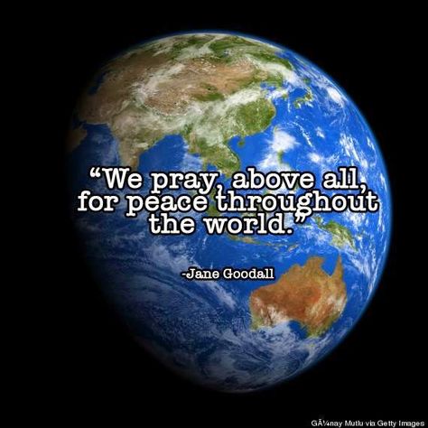 Pray For World, Pray For World Peace, Pray For America, Pray For Peace, Give Peace A Chance, Prayer For Peace, Jane Goodall, Inner Peace Quotes, Beautiful Prayers