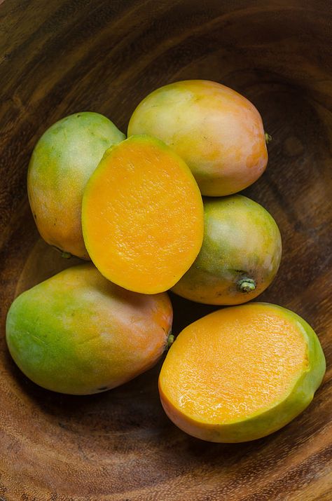 Indian Mango, Yummy Fruit, Mango Margarita, Mango Fruit, Fruit Wallpaper, Mango Tree, Fruit Photography, Beautiful Fruits, Mango Salsa