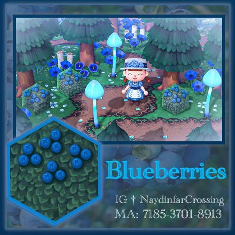 Blueberry Bush, Motif Acnl, Blueberry Farm, Path Design, Blueberry Bushes, Theme Nature, Blue Inspiration, Umbrella Designs, New Animal Crossing