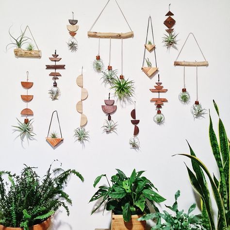 Hanging Air Plants Display, Air Plant Wall, Air Plant Garden, Airplant Wall, Air Plants Decor, Plant Display Ideas, Air Plants Care, Hanging Plant Wall, Air Plant Display