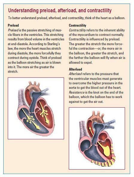 Understanding preload, afterload and contractility Cardiac System, Cath Lab Nursing, Emt Study, Cardiology Nursing, Paramedic School, Nursing School Prerequisites, Nursing Information, Cardiac Nurse, Med Surg Nursing