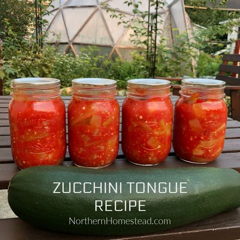 Can Zucchini, Syrniki Recipe, Canned Zucchini, Zucchini And Tomatoes, Homegrown Vegetables, Water Bath Canning Recipes, Zucchini Pickles, Recipes Zucchini, Zucchini Sticks