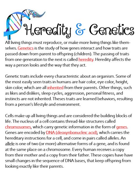 Genetics And Heredity Notes, Bio Notes, Science Chart, Human Body Science, School Study Ideas, Biology Classroom, Basic Anatomy And Physiology, Nurse Study Notes, Biology Facts