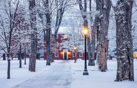 Bowdoin College Office Photos Street Lamp Post, Snowy Path, College Building, Community Jobs, Bowdoin College, The Future Is Bright, Office Photos, College Job, College Office