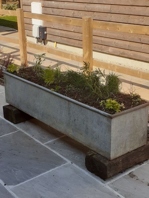 Galvanised Trough Planter, Water Trough Planter, Herb Trough, Culinary Herb Garden, Tin Bath, Patio Gardens, Trough Planter, Architectural Plants, Water Trough