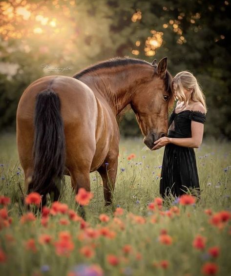 Woman Horse Photography, Summer Horse Photoshoot, Prom Horse Photoshoot, Equine Senior Pictures, Horse Senior Photos, Horse Photo Shoot Ideas, Pictures With Horses Photography Ideas, Photo With Horse Ideas, Horse Pictures With People