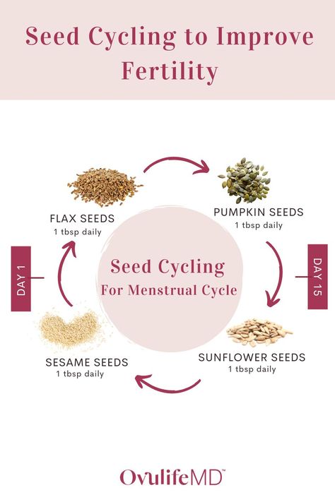 The practice of seed cycling to boost fertility is all about eating different seeds during your menstrual cycle to balance hormones. This infographic shows how seed cycling works and what seeds to consume during different phases of your menstrual cycle. Read more on the blog to learn more about seed cycling for fertility and how you can incorporate seeds into your daily diet. | OvulifeMD #seedcyling #fertilitydiet Seeds For Menstrual Cycle, Seeds Cycling, Period Seasons, Womb Care, Menstrual Cycle Chart, Cycle Food, Seed Cycle, Women Cycle, Cycle Health