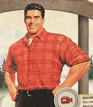 Brawny Man Brawny Man, Vintage Gentleman, Paper Boy, Manly Men, Rainbow Rowell, Paper Wall Hanging, Art Of Man, Wall Hanging Crafts, The Diary