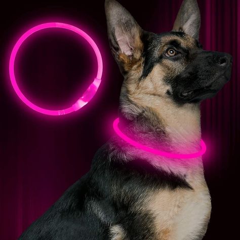 BSEEN LED Dog Collar #353 Led Dog Collar, Loss Of Dog, Up Dog, Dog Safety, Dog Necklace, Pet Safety, Dog Leads, Beloved Dog, Dog Collars