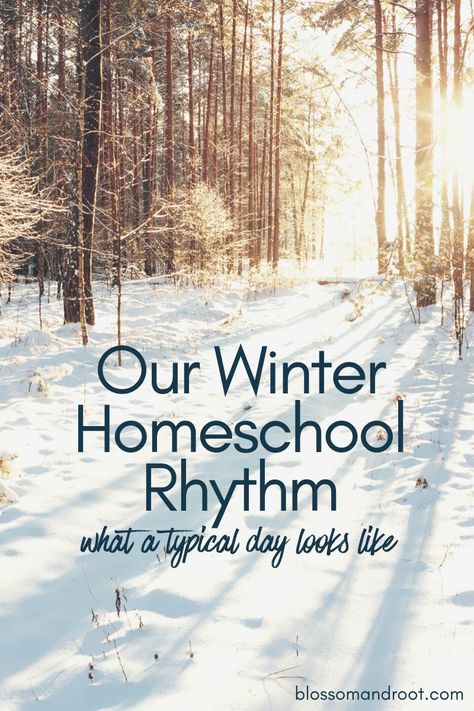 Homeschool January Activities, Charlotte Mason Unschooling, New Year Homeschool Activities, Secular Charlotte Mason, Homeschool Charlotte Mason, Charlotte Mason High School, January Homeschool Ideas, Good And The Beautiful Homeschool, Winter Homeschool Activities