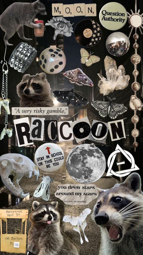 raccoon !! #raccoon #raccoontherian #alterhuman #therian #therianthropy Cute Therian Wallpaper, Christmas Raccoon Wallpaper, Therian Phone Wallpaper, Raccoon Collage, Raccoon Background, Therian Raccoon, Racoon Aesthetic, Racoon Wallpaper, Raccoon Therian