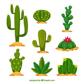 Mexico Cactus, Cactus Backgrounds, Cactus Images, Tall Cactus, Cactus Paintings, Popular House Plants, Cactus Vector, Cactus Drawing, Cactus Planta