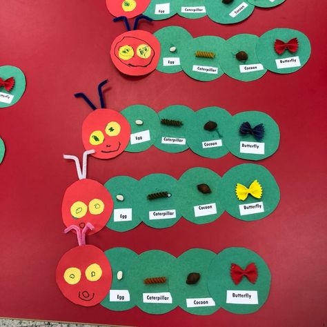 Hungry Caterpillar Egg Carton Craft, Hungry Caterpillar Science Activity, The Hunger Caterpillar Crafts, Caterpillar Art And Craft, The Very Hungry Caterpillar Life Cycle, Hungry Caterpillar Crafts For Preschool, Crunching Munching Caterpillar Eyfs, Eric Carle Activities Preschool Science, The Very Hungry Caterpillar Literacy Activities