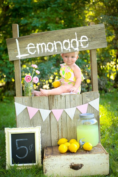 Mini Lemonade Stand, Lemonade Stand Photography, Lemonade Stand Photo Shoot, Lemonade Party Theme, Lemonade First Birthday, Lemonade Stand Party, Diy Lemonade Stand, Diy Lemonade, Baby Birthday Photoshoot