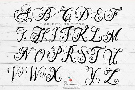 Monogram SVG, Fancy Script Hand Lettered Alphabet Svg SV107#scriptmonogramcut #monogramalphabet #monogramletterssvg Vintage Typography Alphabet, Hand Lettered Alphabet, Calligraphy Alphabet Tutorial, Script Monogram Font, Cricut Monogram Font, Calligraphy Letters Design, Vine Monogram Font, Fancy Calligraphy, Free Monogram Fonts